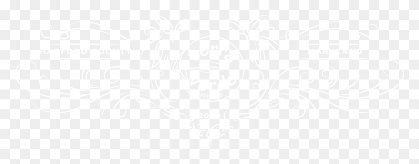 2447x850 0 Логотип Джона Хопкинса Белый, Графика, Трафарет Hd Png Скачать