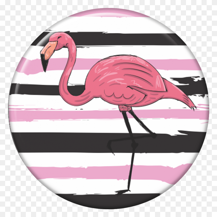 916x916 01 Greater Flamingo, Helmet, Clothing, Apparel HD PNG Download