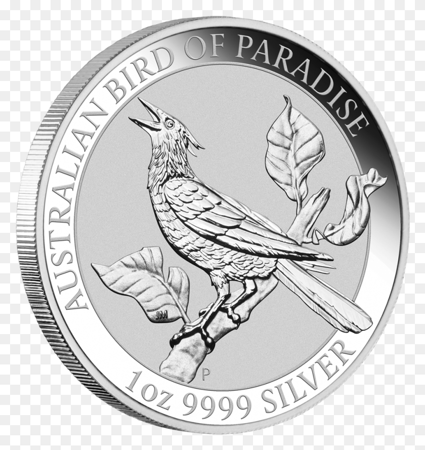 950x1010 1 Birds Of Paradise Silver, Bird, Animal, Coin HD PNG Download