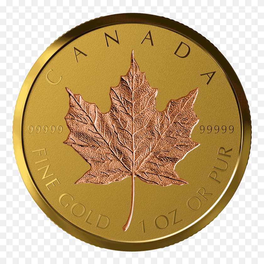 1024x1024 1 Canadian Gold Maple Leaf, Leaf, Plant, Rug HD PNG Download
