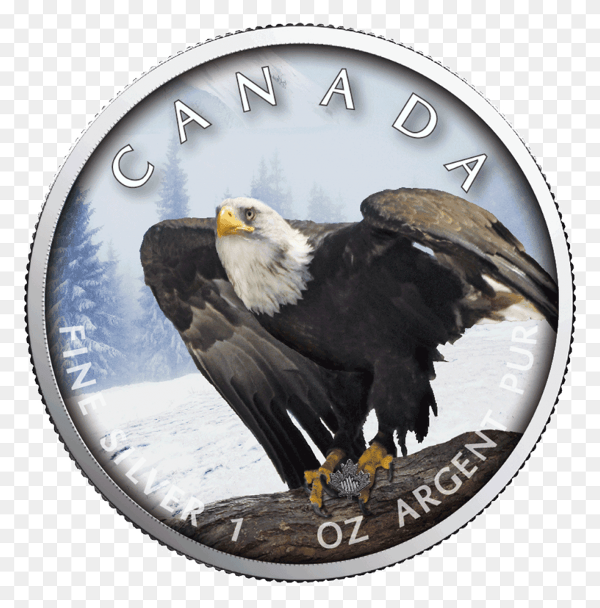 981x995 1 Canadian Wildlife Silver Coins 2019, Eagle, Bird, Animal HD PNG Download