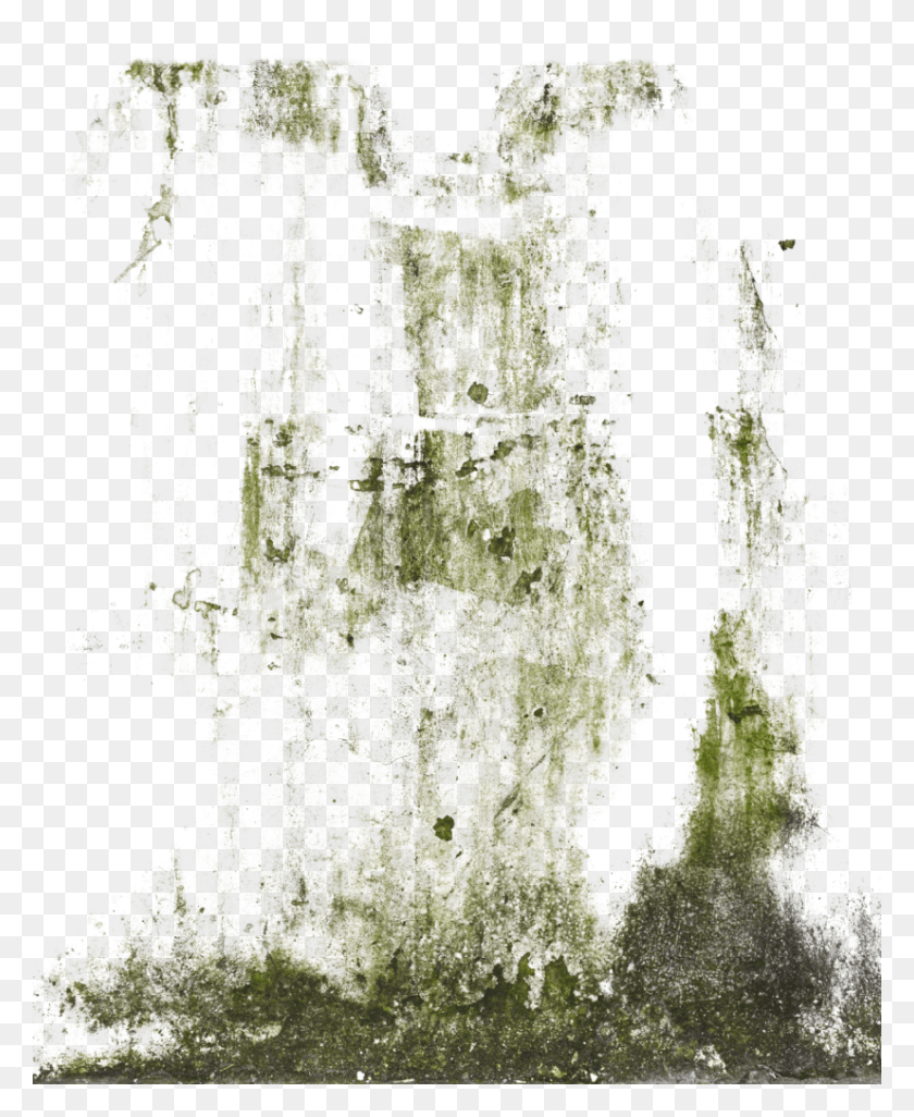 826x1024 1 S Decalbottom0039 1 S Decalsstain0018 Moss Stain, Green HD PNG Download