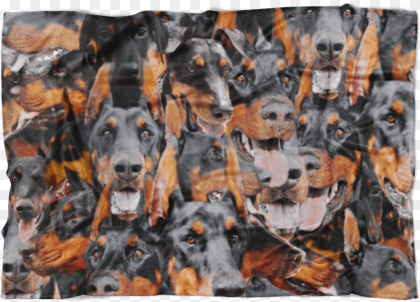 885x636 Doberman, Art, Painting, Animal, Canine Sticker PNG