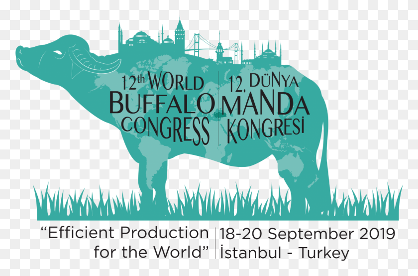 1170x742 12th World Buffalo Congress Istanbul Turkey Punxsutawney Phil, Word, Text, Poster HD PNG Download