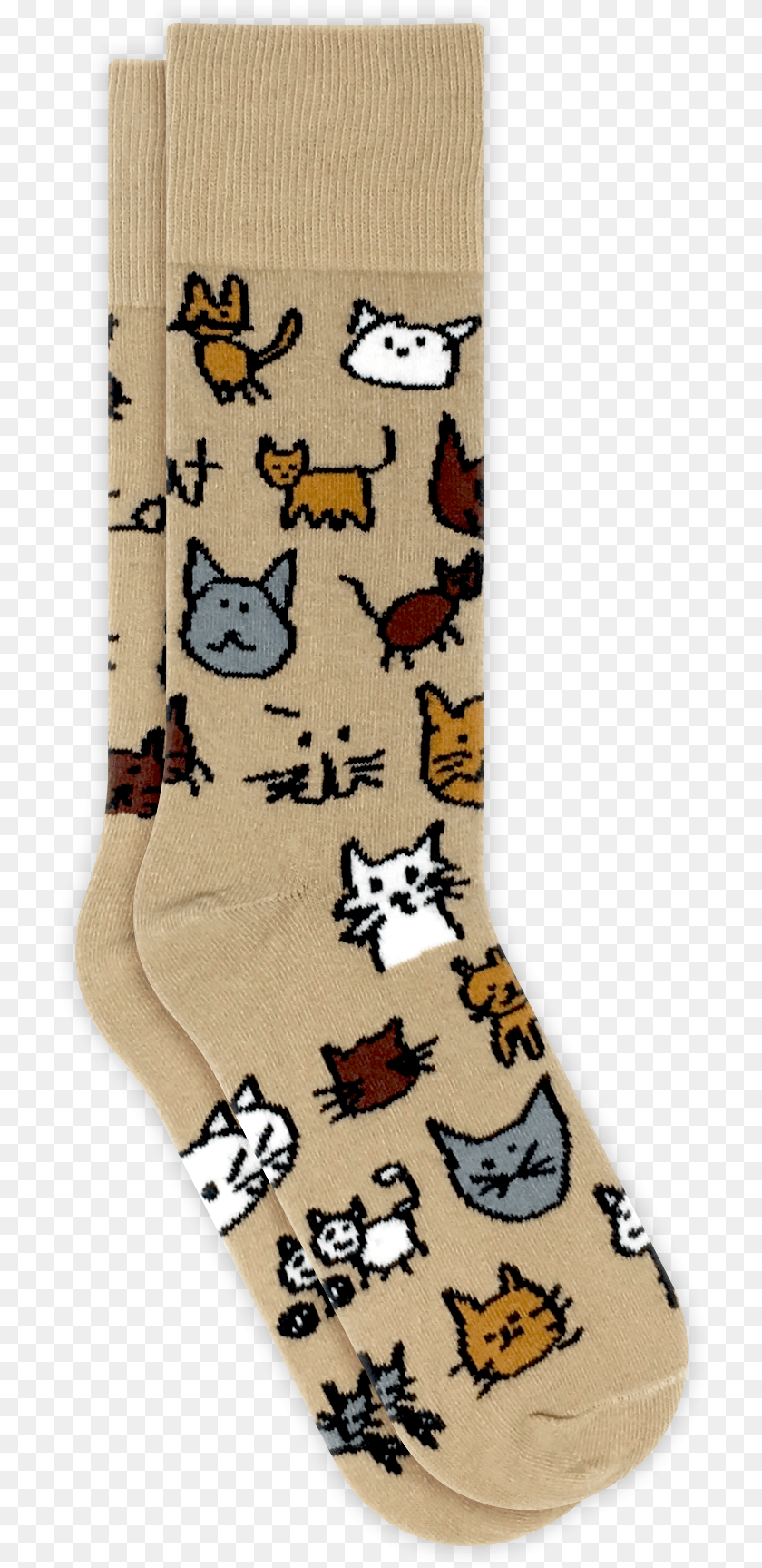 724x1727 Cat, Clothing, Hosiery, Sock, Person Clipart PNG