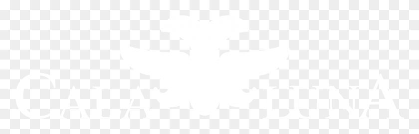 969x262 18th 2016 Tamarindo Art Wave Johns Hopkins Logo White, Symbol, Stencil, Emblem HD PNG Download