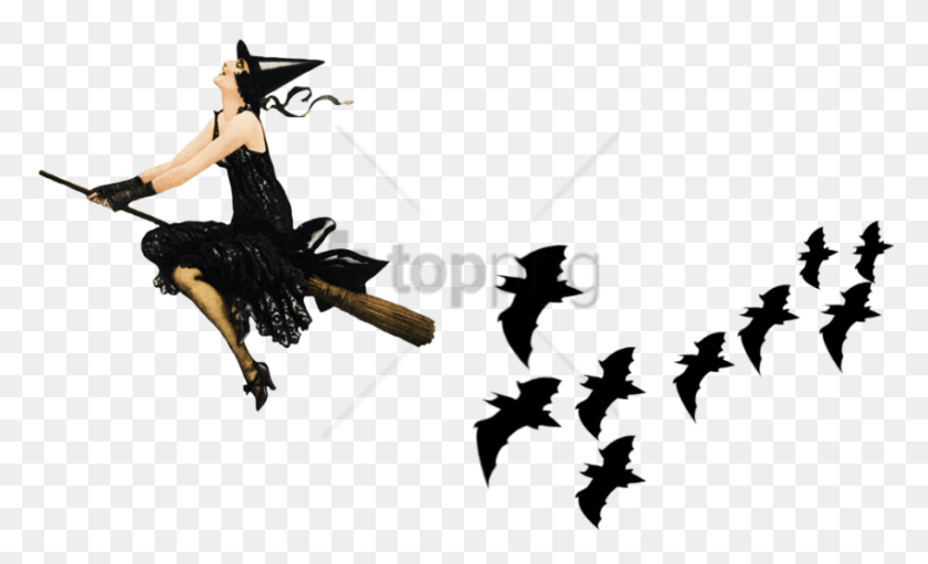850x492 1920s Witch, Bird, Animal, Person HD PNG Download