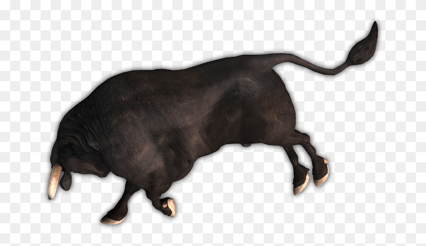 677x425 194k Bull 20 Rs Bull, Mammal, Animal, Hog HD PNG Download