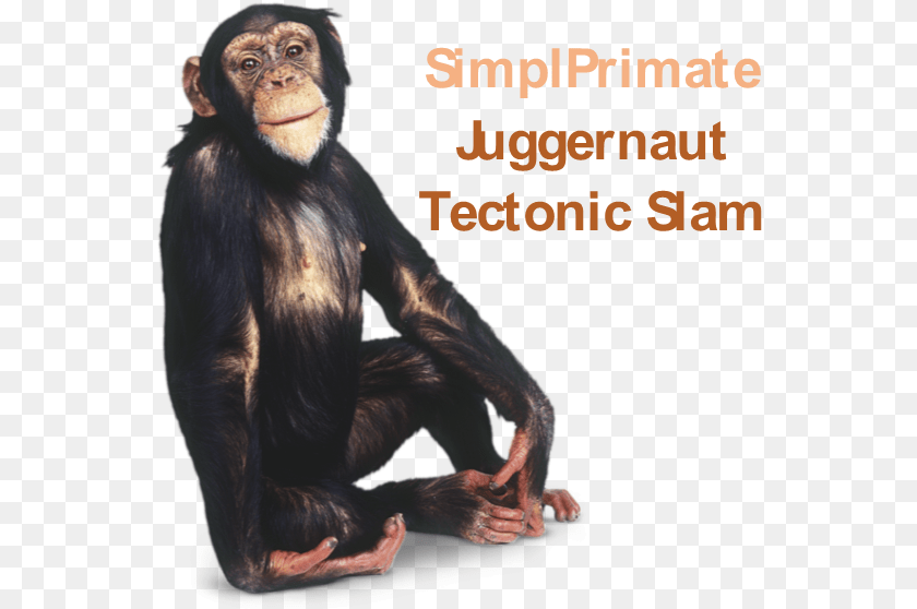 2 Juggernaut Tectonic Slam 1 1 Mil Dps, Animal, Mammal, Monkey, Wildlife Clipart PNG