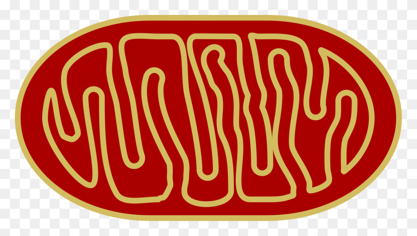 2000x1066 2000 X 1066 2 Mitocondrias, Texto, Logotipo, Símbolo Hd Png