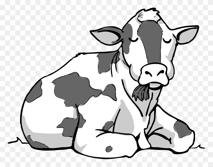2000x1537 2000 X 1537 4 Cow Riddles, Cattle, Mammal, Animal HD PNG Download