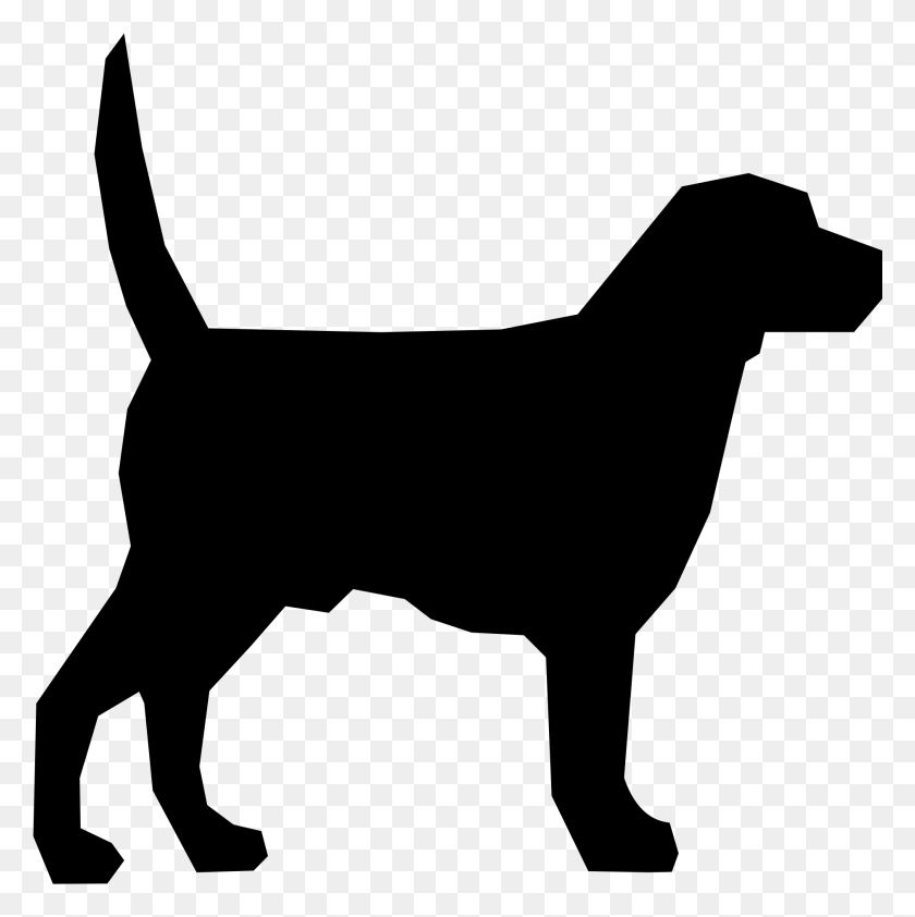 1881x1887 2000 X 1981 8 Silhouette Dog Transparent Background, Gray, World Of Warcraft HD PNG Download