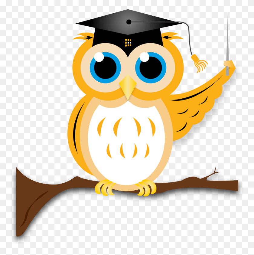 1574x1582 2000 X 2000 11 Owl, Graduation, Text, Animal HD PNG Download