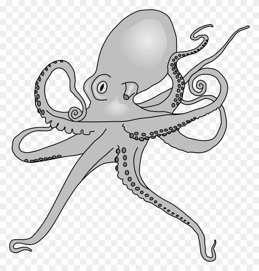 2000x2105 2000 X 2105 11 Octopus Drawing, Sea Life, Animal, Invertebrate HD PNG Download