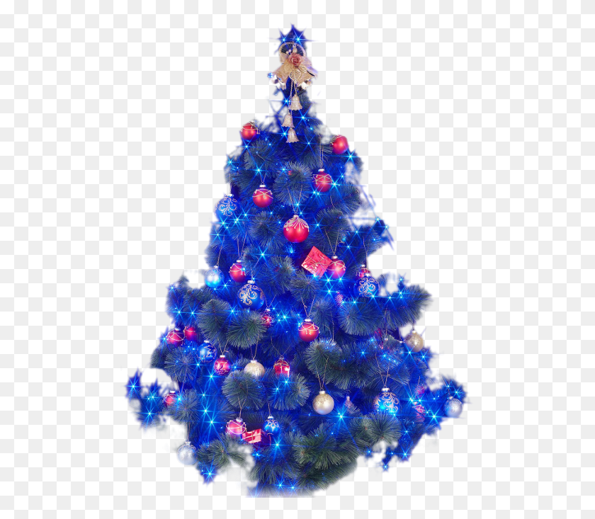 500x673 2011, Christmas Tree, Tree, Ornament HD PNG Download