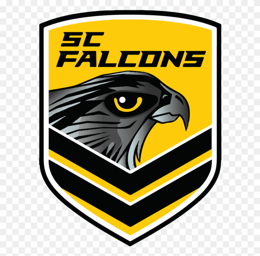 592x768 Descargar Png Sc Falcons Días De Juego Sunshine Coast Falcons Logo, Águila, Pájaro, Animal Hd Png