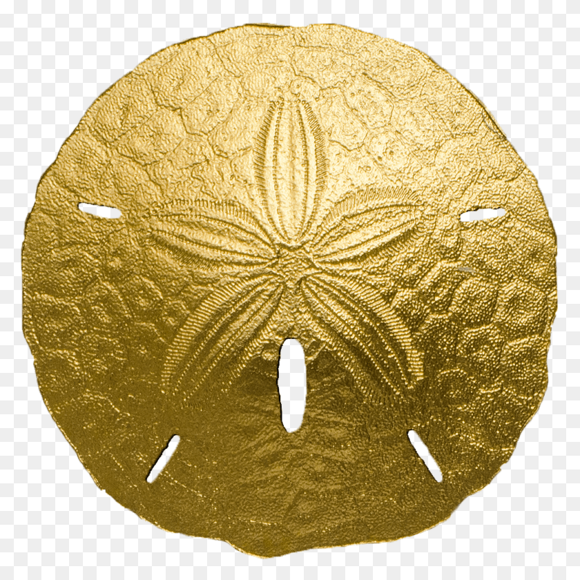 1024x1024 2017 Sand Dollar Palau Sand Dollar Coin, Gold, Treasure, Rug HD PNG Download