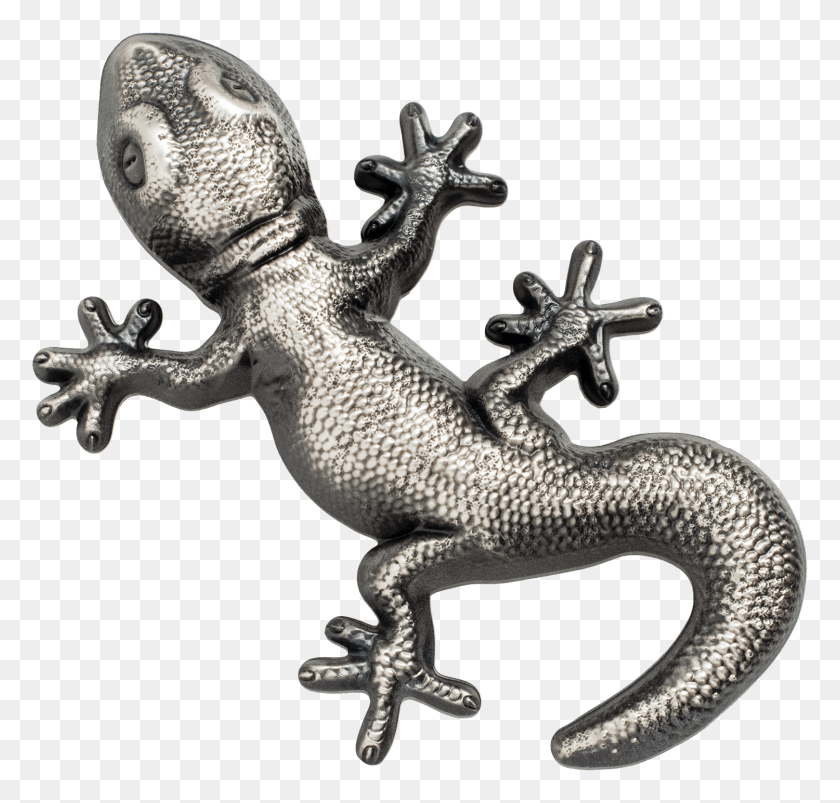 1500x1429 2018 5 Palau Silver Gecko Antiguo Acabado 1Oz 999 Silver Gecko Silver Palau, Dinosaurio, Reptil, Animal Hd Png Descargar