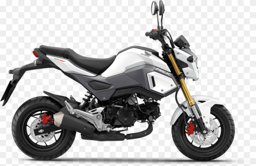864x562 2018 Honda Grom, Motorcycle, Transportation, Vehicle, Machine PNG