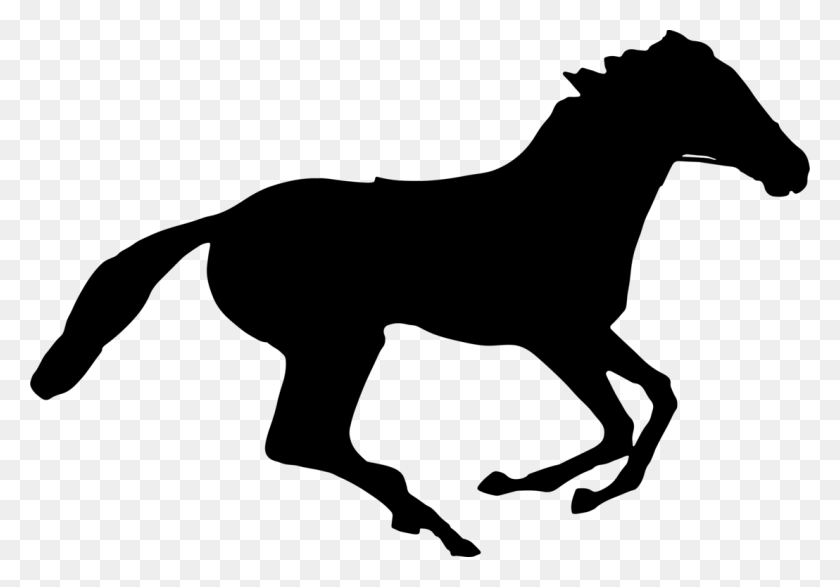 1108x750 2018 Kentucky Derby Horse Racing Equestrian Free Horse Silhouette, Gray, World Of Warcraft HD PNG Download