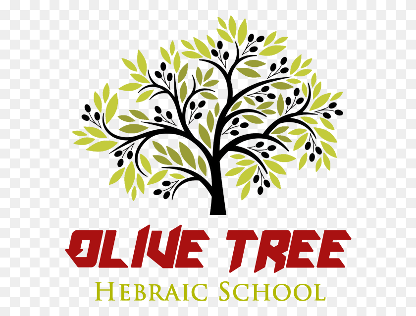 580x578 2018 Olive Tree Hebraic School Easy To Draw Olive Tree, Potted Plant, Plant, Vase HD PNG Download