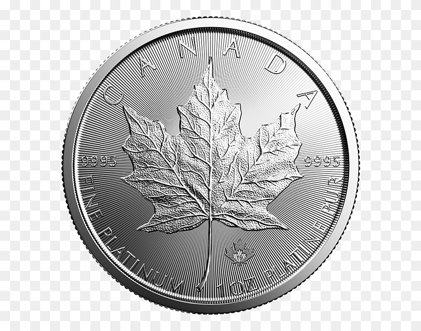 600x600 2019 1 Oz Canadian Platinum Maple Leaf Obverse Canadian Predator Series Silver Coins 1 Oz, Coin, Money, Bird HD PNG Download