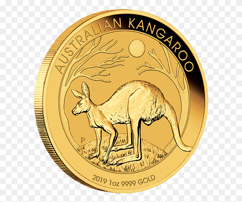 607x643 Золотая Монета Auskangaroo 2019 1 Унция Onedge Lowres Золотая Монета Австралийский Кенгуру 2019, Деньги, Животное, Млекопитающее Hd Png Загрузить