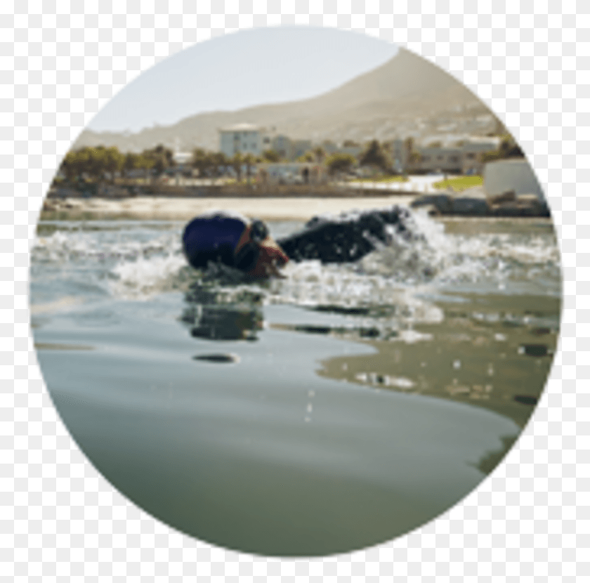 770x770 2019 Bass Lake Yosemite Triathlon Triathlon, Swimming, Sport, Water HD PNG Download