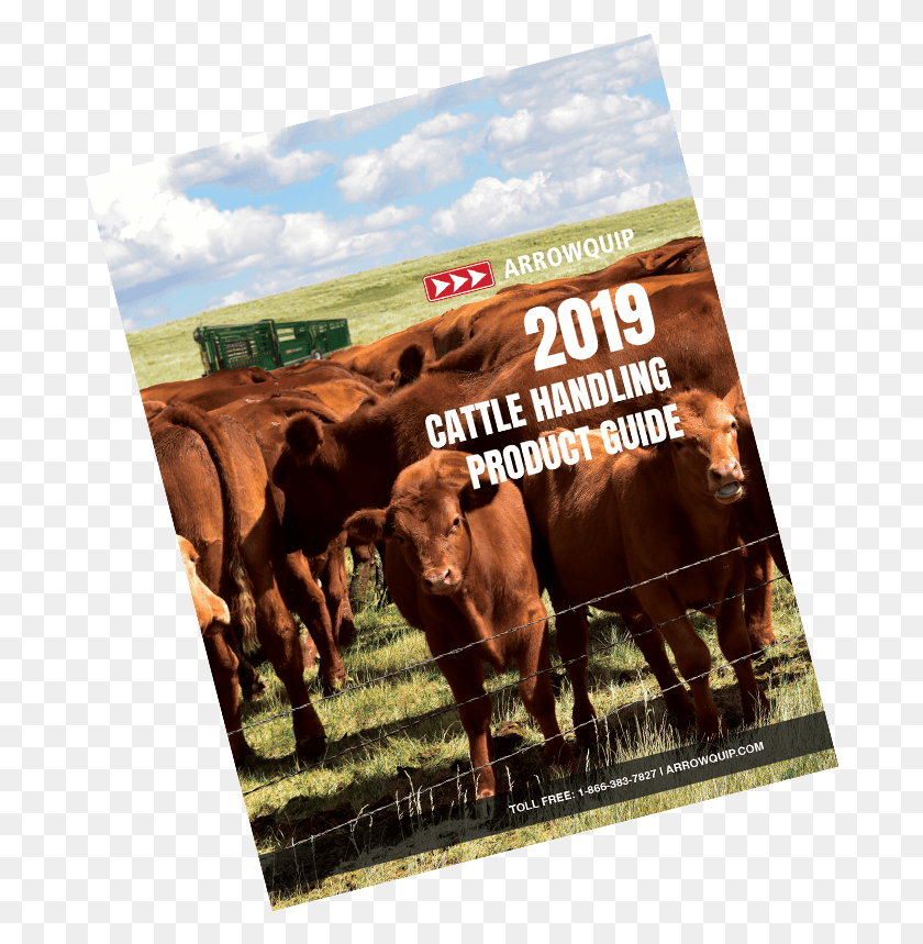 686x799 2019 Cattle Handling Catalog Poster, Vaca, Mamífero, Animal Hd Png