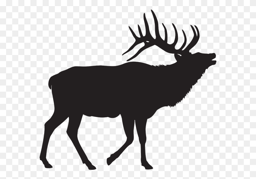 581x526 2019 Elk Hunting Rates Elk Clipart, Animal, Mammal, Wildlife HD PNG Download