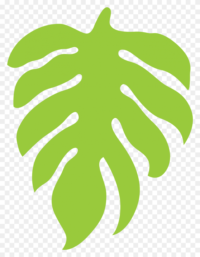 1375x1797 2019 Светло-Зеленый Лист Джунглей Иллюстрация, Растение, Герань, Цветок Hd Png Скачать