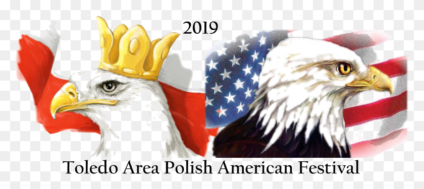 2125x859 Польско-Американский Фестиваль В Толедо В 2019 Году, Польша, Птица, Животное, Флаг Hd Png Скачать