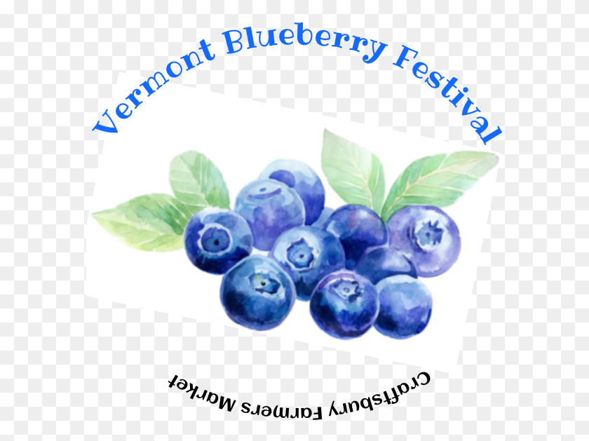 595x569 2019 Vermont Blueberry Festival Huckleberry, Plant, Fruit, Food HD PNG Download