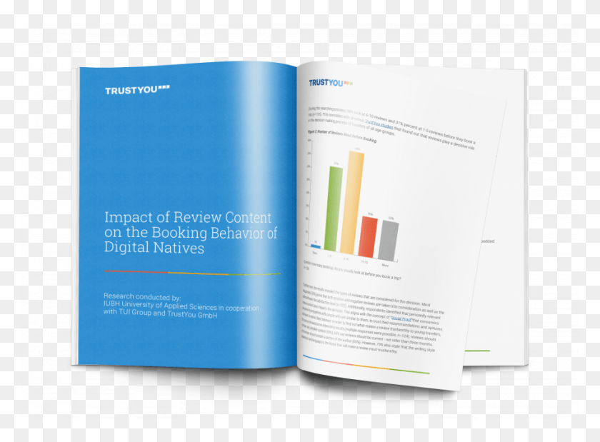 900x646 2019 White Paper Impact Review Content Digital Natives Brochure, Book, Poster, Advertisement HD PNG Download