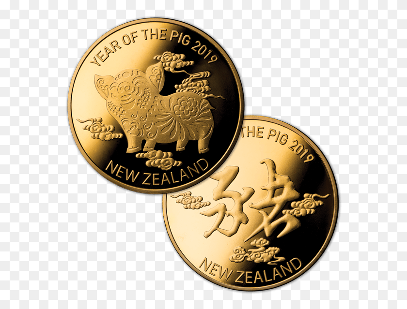 573x579 2019 Year Of The Pig Gold Plated Medallion Year Of The Pig 2019 Coin, Money, Nickel HD PNG Download