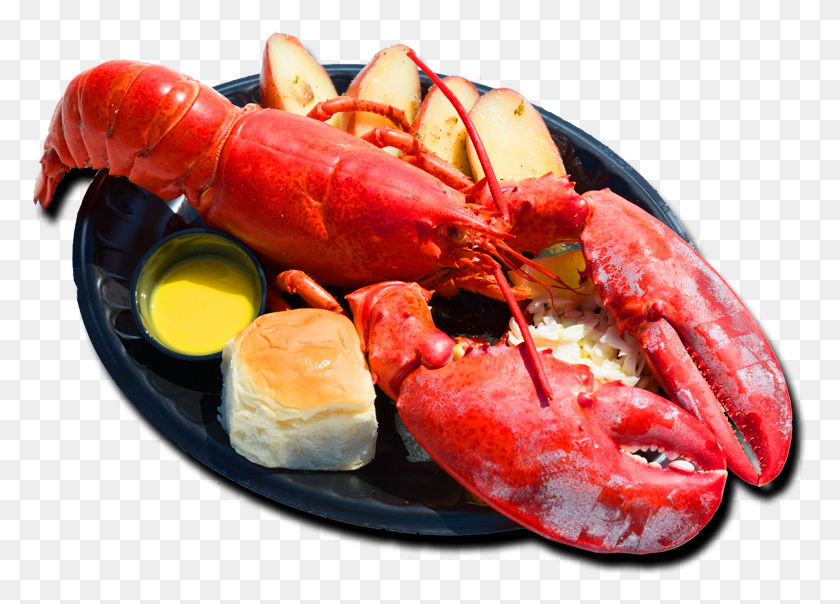 776x544 20th Annual Redondo Beach Lobster Festival Is The New, Seafood, Sea Life, Food HD PNG Download