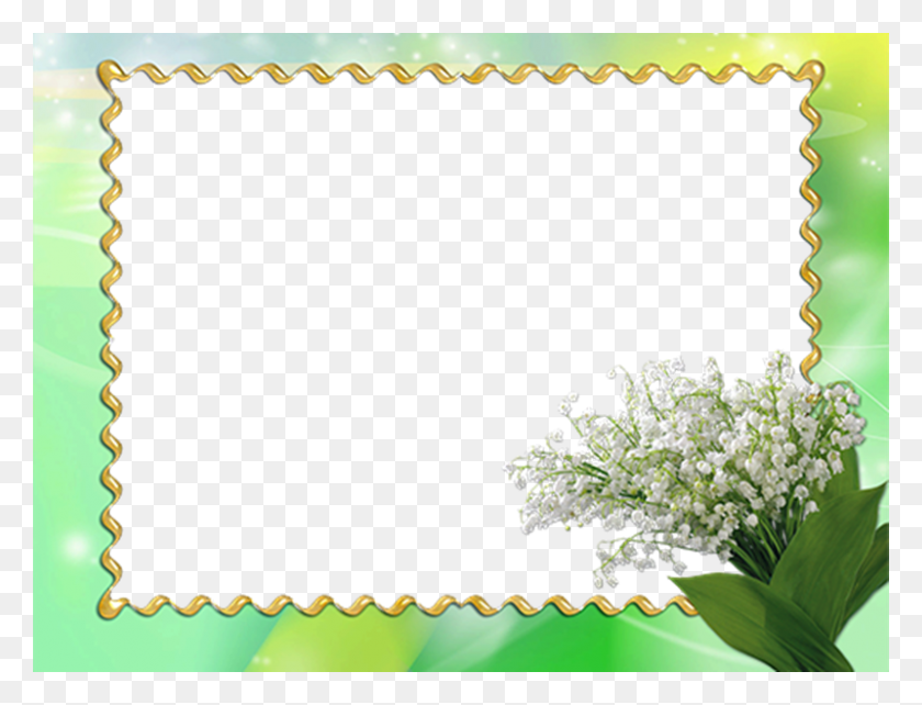 800x597 277 Ramki Dlya Fotoshopa Skachat Besplatno, Plant, Flower, Blossom HD PNG Download