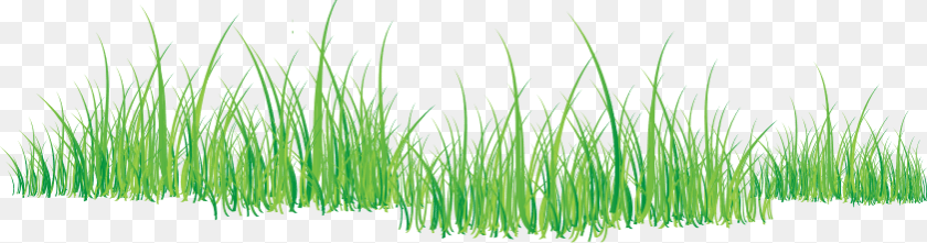 841x221 Grass Icon, Plant, Vegetation, Agropyron Transparent PNG