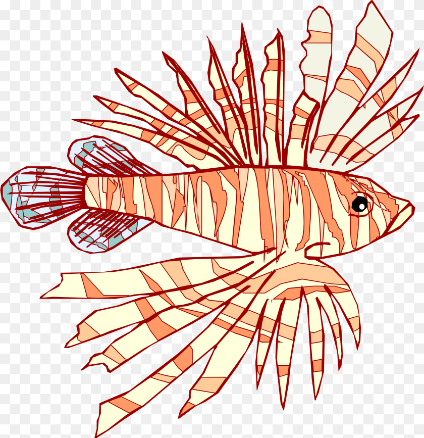 2161x2231 Lionfish, Aquatic, Water, Animal, Fish Transparent PNG