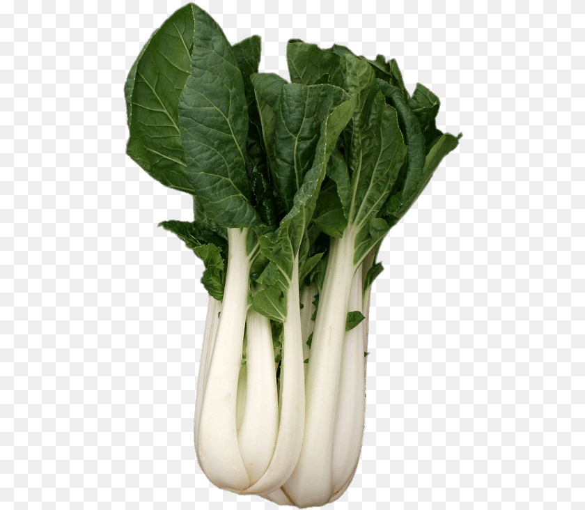 Drumstick Vegetable, Food, Leafy Green Vegetable, Plant, Produce PNG