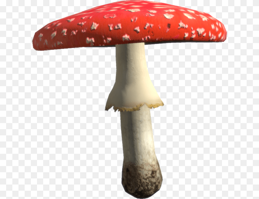 Toadstool, Agaric, Amanita, Fungus, Mushroom PNG