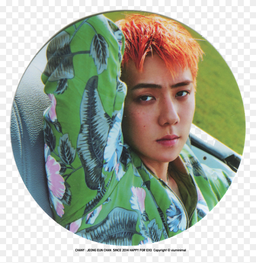 1240x1276 39power39 Merchandise Credit Exo Sehun Head Transparent, Clothing, Apparel, Face HD PNG Download