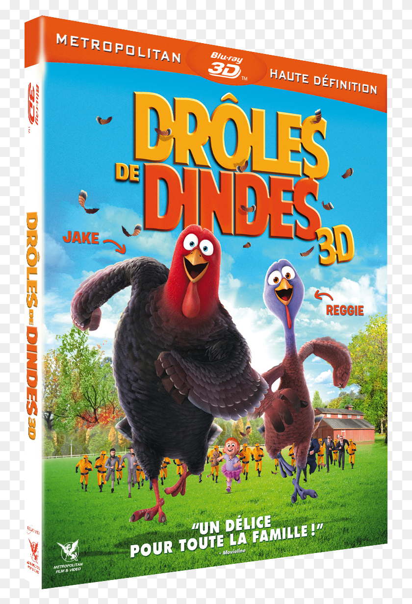 741x1172 3D Four Brd 3D Droles De Dindes Drles De Dindes, Человек, Человек, Птица, Hd Png Скачать