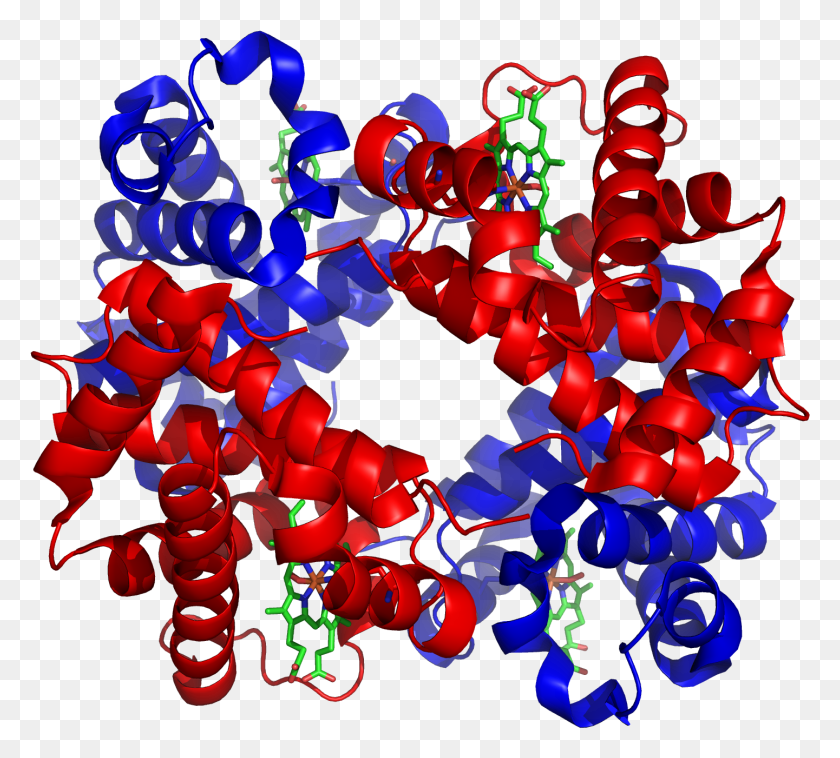 1441x1291 Descargar Png / Modelo 3D Proteína De Hemoglobina Con Hélice Alfa Y Hoja Beta, Gráficos, Patrón Hd Png
