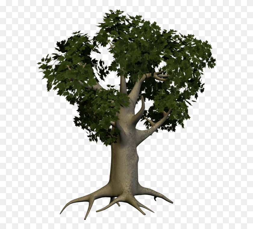 600x699 3d Papaya Tree Transparent Background Tree, Plant, Tree Trunk, Antelope HD PNG Download
