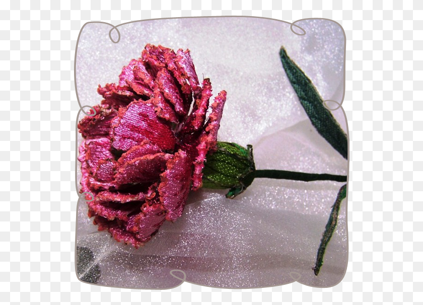 548x546 3D Pink Carmation Flower Machine Embroidery Design Garden Roses, Plant, Blossom, Petal Descargar Hd Png