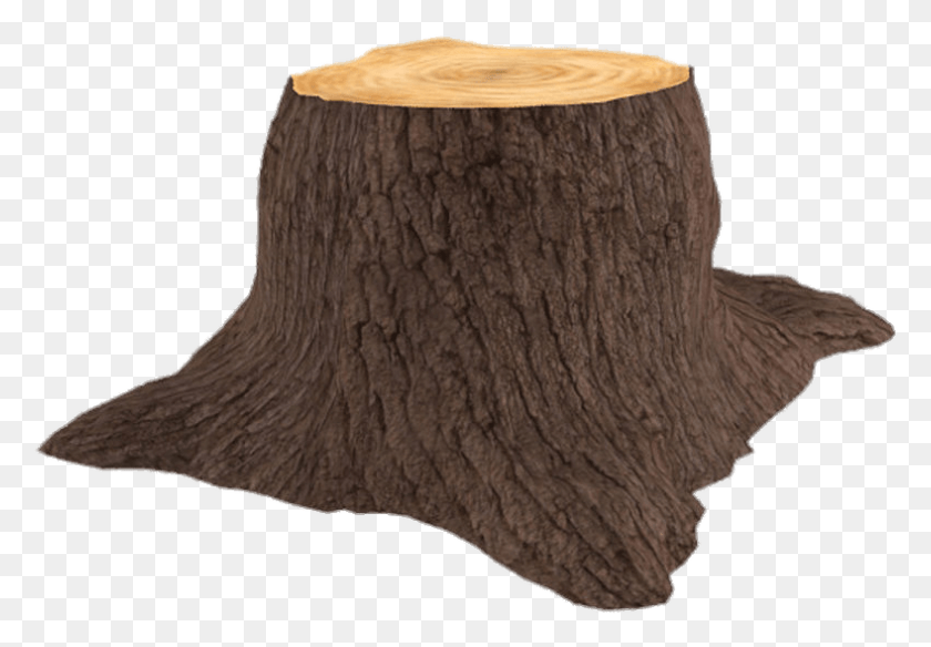 788x530 3d Tree Trunk, Tree Stump, Sweater, Clothing HD PNG Download