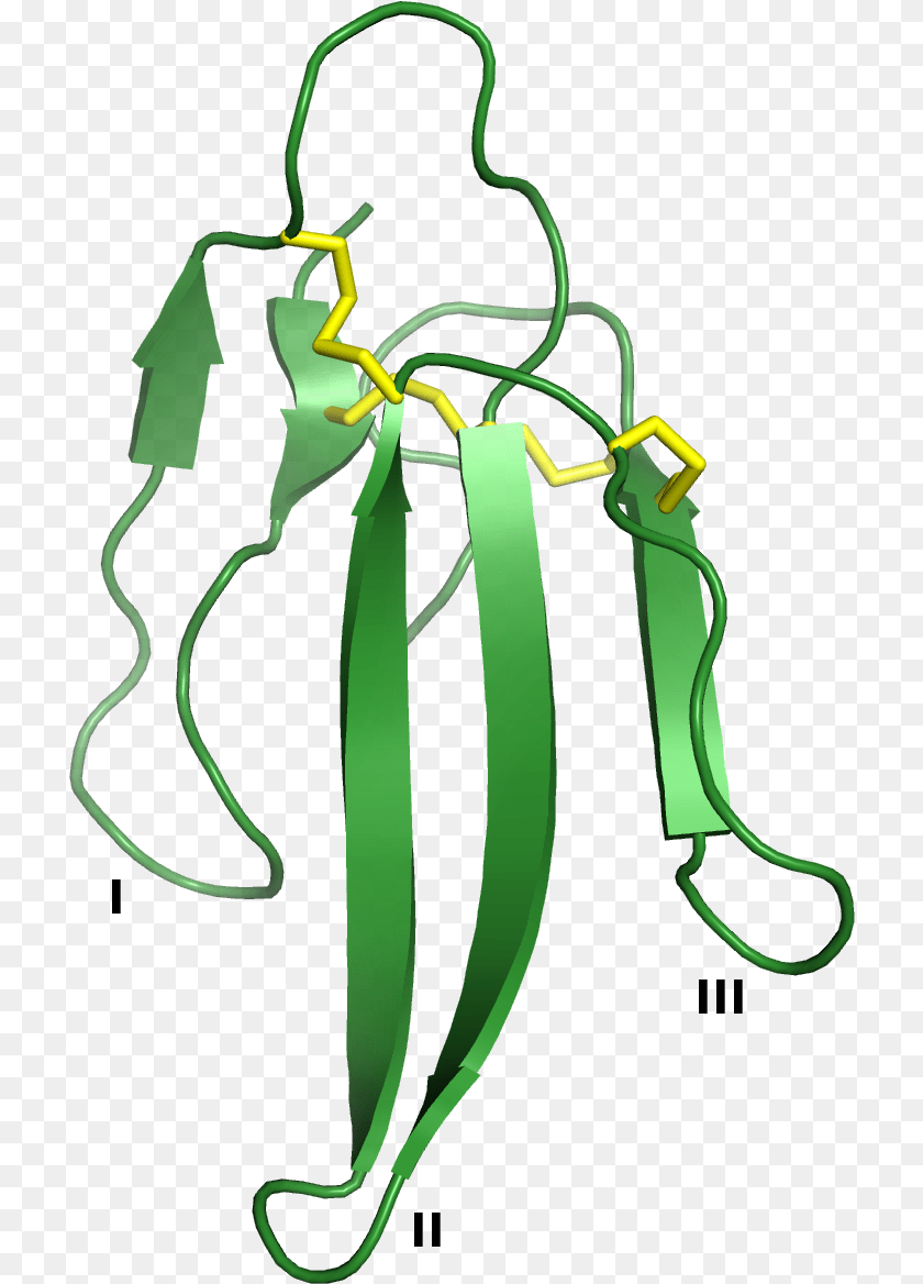 716x1168 3ftx Three Finger Toxin Structure, Green, Accessories Clipart PNG