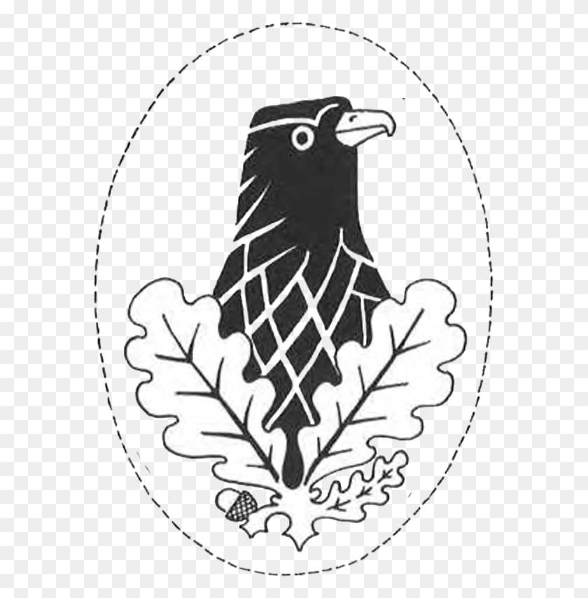 573x794 3rd Class Emblem, Bird, Animal, Blackbird HD PNG Download