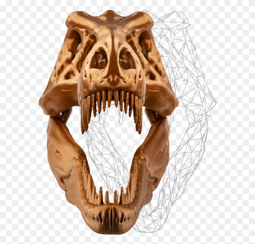 589x745 3rd Party Materials And Software Skull, Skeleton, Giraffe, Wildlife HD PNG Download